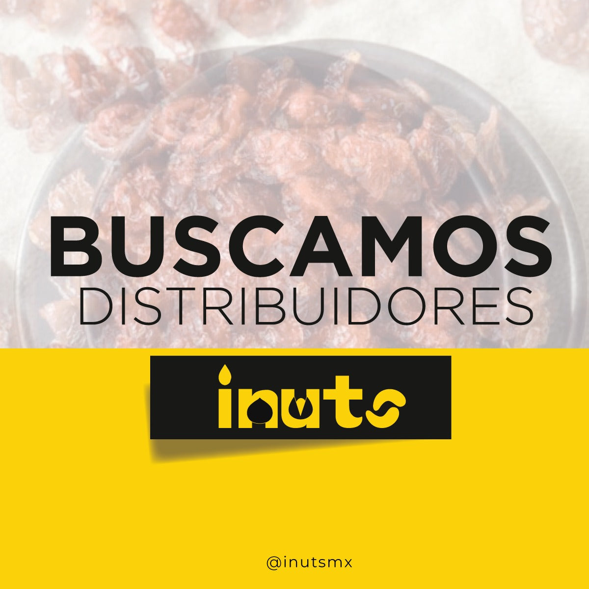 DISTRIBUIDORES iNuts